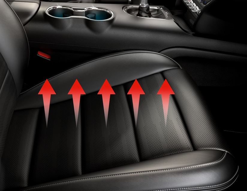 Immagine prodotto 82